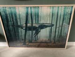Whale in forest affisch 100...