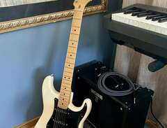 Stratocaster American Stand...
