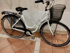 cycletrack damcykel