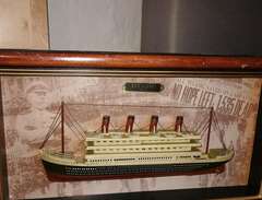 Sällsynt Titanic tavla