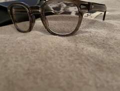 Moscot Lemtosh glasögon