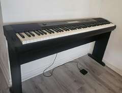 Casio CDP-220r Digital Piano
