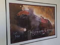 Tavla hogwarts express