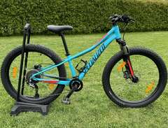 Specialized Riprock Comp 24"