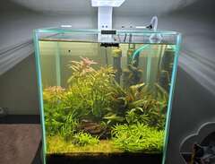 Nano akvarium 30 Liter komp...