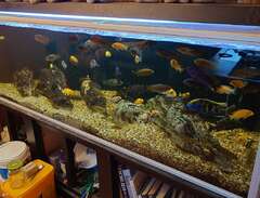 720 liters akvarium säljes...
