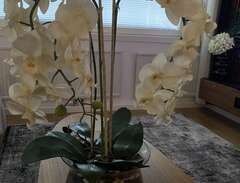 konstblomma orkidee med gla...