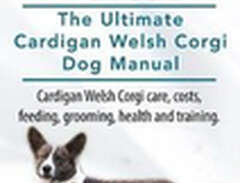 Cardigan Welsh Corgis. The...