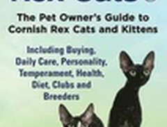 Cornish Rex Cats, The Pet O...