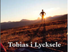 Tobias i Lycksele (inbunden)