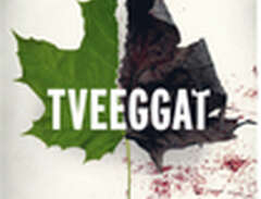Tveeggat (bok, danskt band)