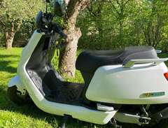 NIU N Sport Moped