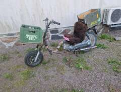veteran moped