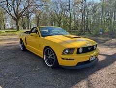 Ford Mustang GT Convertible GT