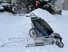 Thule Chariot cx2
