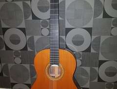 Alhambra 5P klassisk gitarr