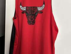 NBA Chicago Bulls Jersey/linne