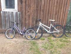 blandat cyklar