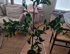 Konstgjord växt/citronträd