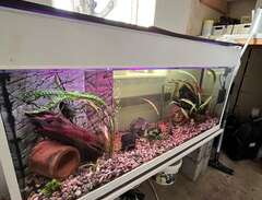 akvarium ca 350 liter