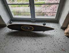 skateboard longboard pintail