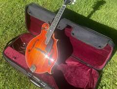 Eastman MD815-PGE mandolin