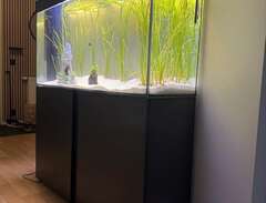 akvarium 220 liter CIANO Sv...