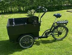 Cargobike Kindergarden lådc...
