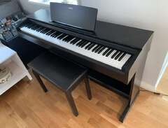Yamaha digital piano YDP-103R