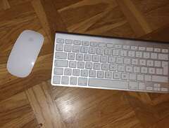 Apple Keyboard och Apple ma...