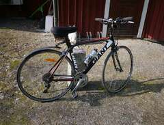 Fin Giant TCR compact road,...