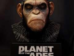PLANET OF THE APES- CAESAR...