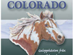 Colorado : galopphästen frå...