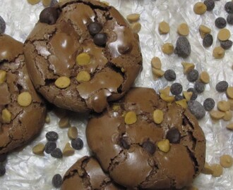 Weight Watchers Monday ~ Chewy Chocolate Cookies