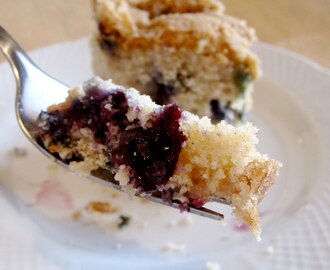Blueberry Yum Cake