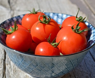 Niet nad paradajky zo záhradky