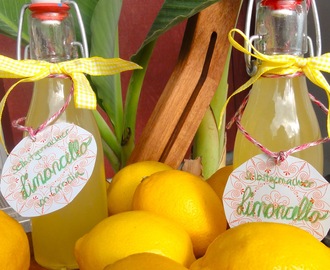 Selbstgemachter Limoncello - Zitronenlikör
