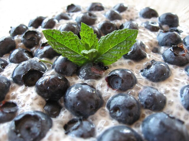 Vegan Vanilla Chia Seed Pudding with Hemp Milk and Blueberries - High in Omega 3 and Antioxidants