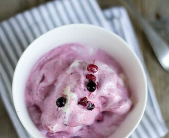 Yoghurt ijs met bosvruchten uit de Cuisinart IJsmachine