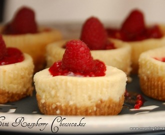 Mini Raspberry Cheesecakes with Nilla Wafer Crust