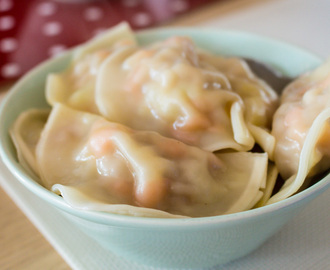 Chinese Dumplings with Pork and Cabbage - Jiaozi - 餃子