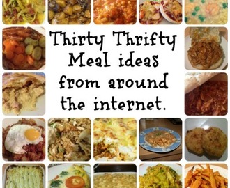 Thirty Thrifty Family Meals from around the web….
