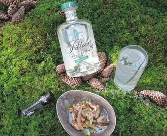 Gin Tonic Foodpairing – Filliers Dry gin 28 “Pine Blossom” – Toast wilde paddestoelen