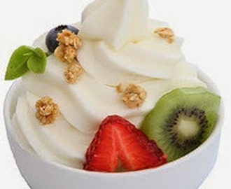 Helado de Yogurt Cremoso con Frutas Naturales