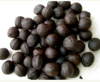 Facts on Fruits: Healthy Benefits of The African Walnut