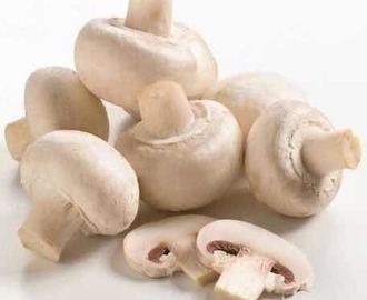 Tapas/ champignons in knoflookmarinade