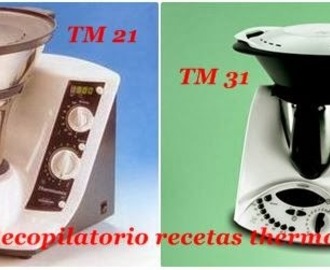 Velocidades de la thermomix TM21 y TM31