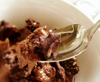Triple Chocolate ~ a Raw and Vegan Ice Cream Recipe
