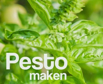 Recept zelf Pesto maken