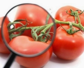 Una dieta rica en tomate puede disminuir el riesgo de padecer cáncer de mama